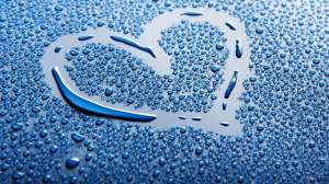 ��� �������� ��������� - ����� ���������� ���������������� ���� - ����������� 1