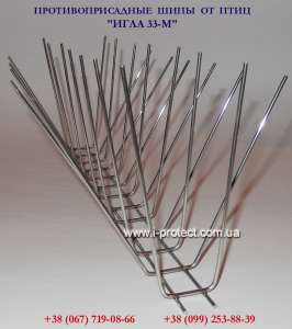 ��� �������� ���������� �� ����, �������������� �� ������� - ����������� 1