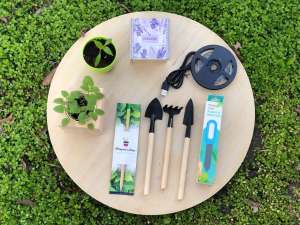 ��� ��������� ��� ������� �� ������� - ����������� 1