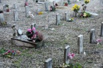 ��� ��������� ��������/ - ����������� 1