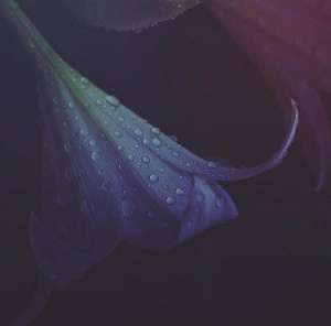 ���, ���������. ������������� ������� �������. - ����������� 1