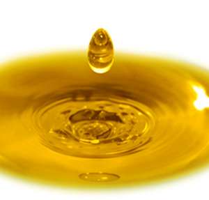 ��� �����������, ������. ������� ���. ������� ���. ������ ��������� �����. - ����������� 1