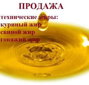 ��� ���������������-������������ ����������. ����������� ���. - ����������� 1