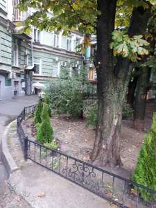 ���� 2-����. � ������. ������������ ������� - ����������� 1