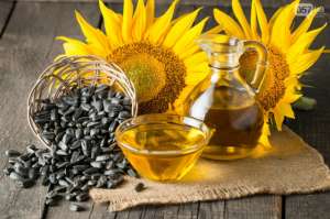 ���� 4.6 ������ - ����������� 1