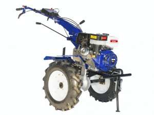 ���� "Blue Rose" 8982097 - ����������� 1