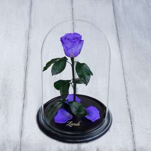 ���� � ����� - ����������� 1