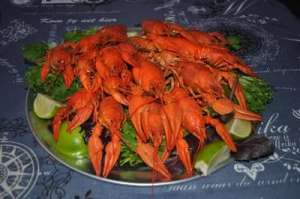 ���� �� ����. �������� ����� � ������� ����� - ����������� 1