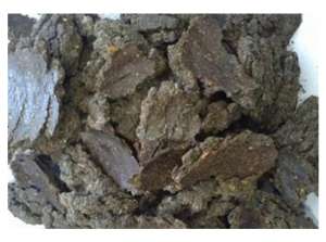 ���� �� ���������� ��� �������� - ����������� 1