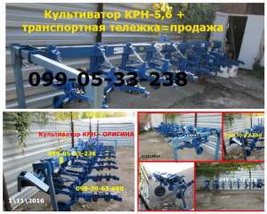 ���� ���/ ���� �������� ����������� ��� �� ���� ��� ���������� �� ������ - ����������� 1