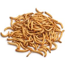 ���� ��� ������� � ������ ������������� ����, �������� ��������� ����� � ������������ - ����������� 1