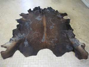 ���� - ���� ����������,�������, �����, ������� �����, ����� ���� - ����������� 1