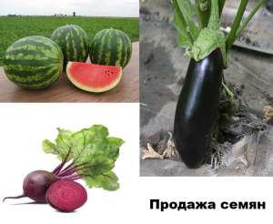 ���� ����� B&SProduct. ������. �������� - ����������� 1