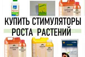 ���� ����� B&SProduct ���������� || ����������� ����� ������� �������� - ����������� 1