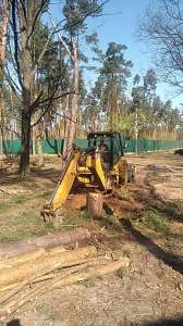 ���� ����� � ��� �� ������� ������. - ����������� 1