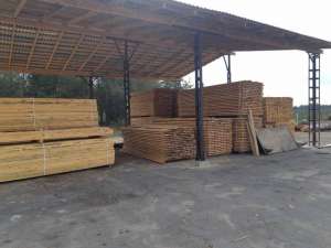 ����, �����, �����, ����� (������ �����������) - ����������� 1