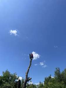 ���� ����� ����-��� ���������. - ����������� 1