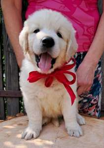 ���� ����� �������� ����������� �������� Ot Bahur - ����������� 1