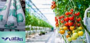 ���� �����"B&S Product".������ ��� ������. ��� ��� ���� � ������� - ����������� 1