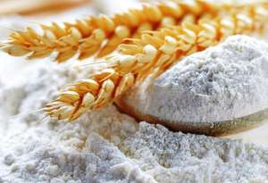 ����. ������ ����. ���� ���������. ���� �����. - ����������� 1