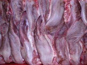 ���� ������ (����������) ������������ � ��������, �������� ��������� - ����������� 1