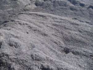 ���� �������. - ����������� 1