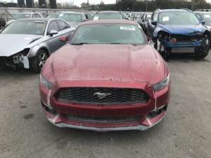 ���� ������� ��� ������ ����� ��� - ����������� 1