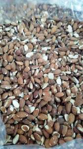 ���� ������� ���������� - ����������� 1