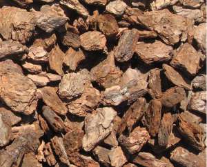 ���� �������� � ������ - ����������� 1