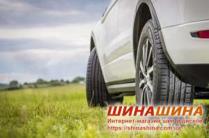 ����, �������� ��� ������������, ���������� - "��������" - ����������� 1