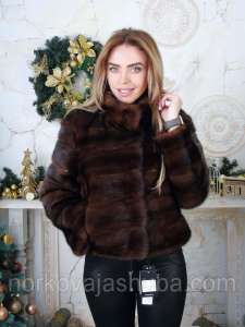 ���� �������� ���������� ����� - ����������� 1