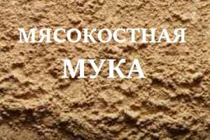 ���� ��������. ����������� ���� ��� � �������. - ����������� 1