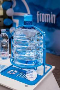 ���� ��������� � ������� �� ���������� ���� FROMIN. - ����������� 1