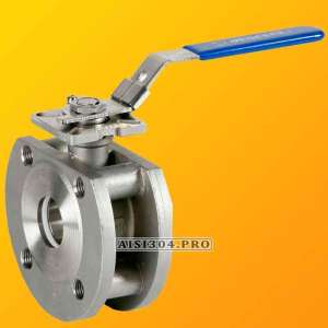 ���� ����������� ��������� �� 50 AISI 304 | TRiNOX - ����������� 1