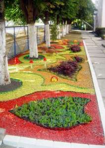 ���� ������������ �� ������ - ����������� 1