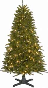 ���� ������������� Color plus �79 2.3 �. - ����������� 1