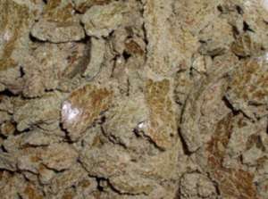 ���� ������������� ��������� - ����������� 1