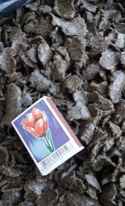 ���� ������������� ��������� - ����������� 1