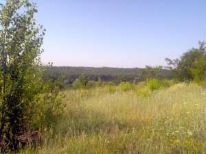 ����� 18.7 ����� � ��������� (����������). ���� - ����������� 1