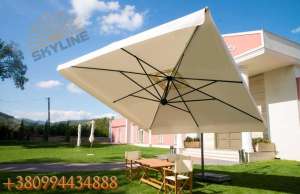 ����� Scolaro. ������� �����, ������ - ����������� 1