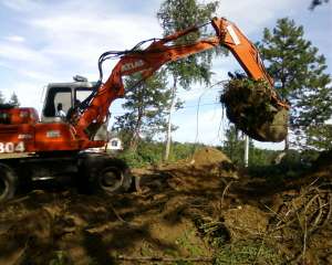 ����� � ����� ����� �������� ��������� ���������� ������� ������� ������ ���� - ����������� 1