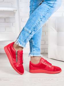 ����� � �������. ������ ��������� � ��������� - ����������� 1