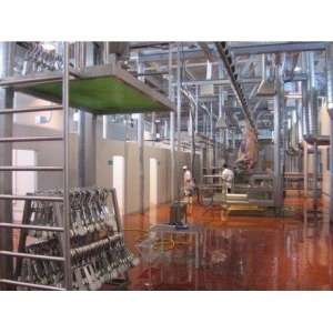 ����� �� ���� ������ � ��� - ����������� 1