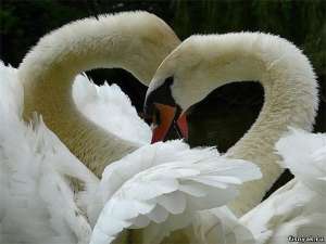 ����� �� ����, ��������, ����� �����, ������ 50 ������ - ����������� 1