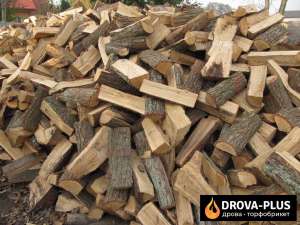 ����� �� ��������� � ��������� ������ - ����������� 1