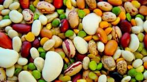 ����� ���, ������, ��������, ��������, ����� ������, ����, ������� - ����������� 1