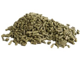 ����� ��� �������. - ����������� 1