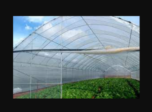 ����� ��� ������� Vatan Plastik 10 �������, 150 ��� - ����������� 1