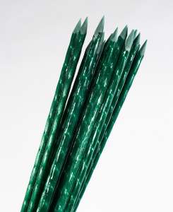 ����� ��� ��������, ������� ��� �������� �� ����������� �������� POLYARM - ����������� 1