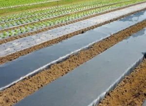 ����� ��� ����������� ��� ���������� � ���������� Vatan Plastik. - ����������� 1